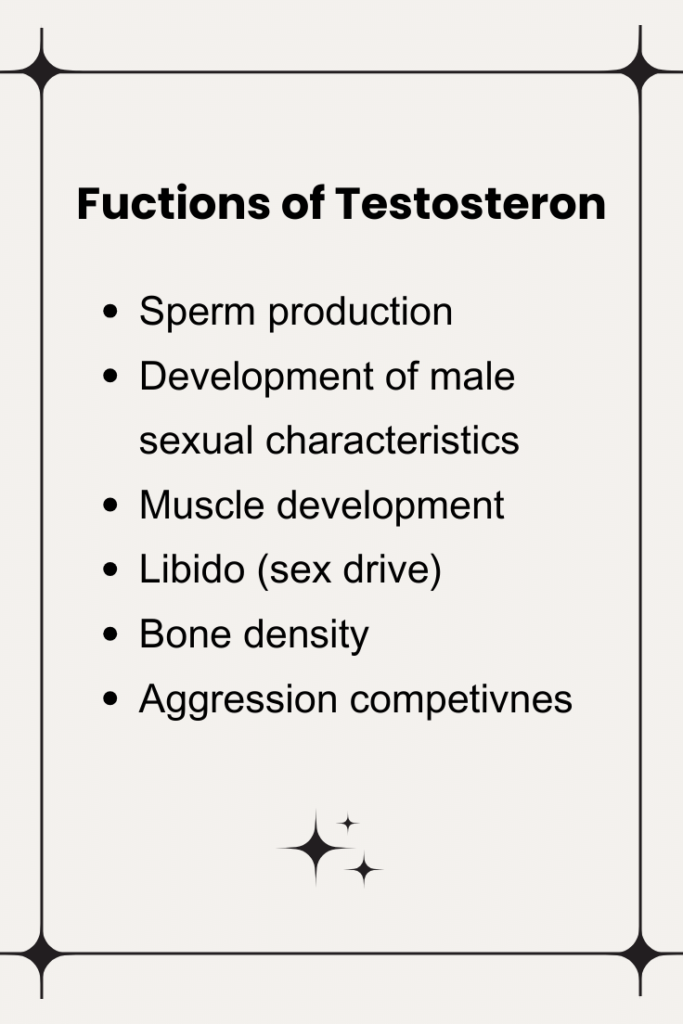 Fuctions of testosteron