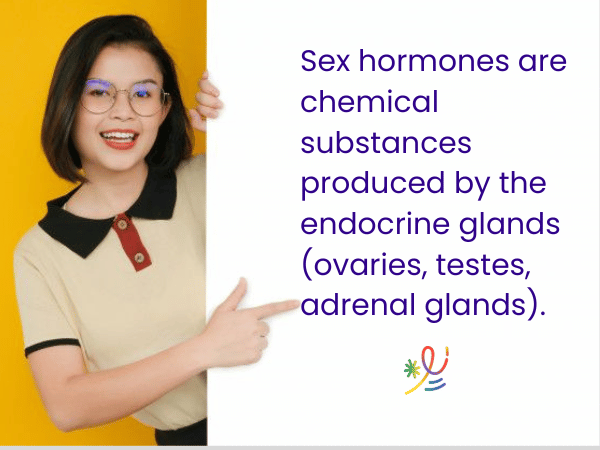 Sex hormones and their functions