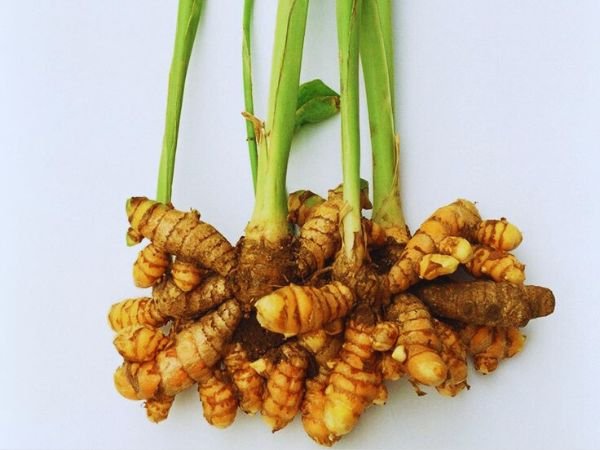 turmeric for periods