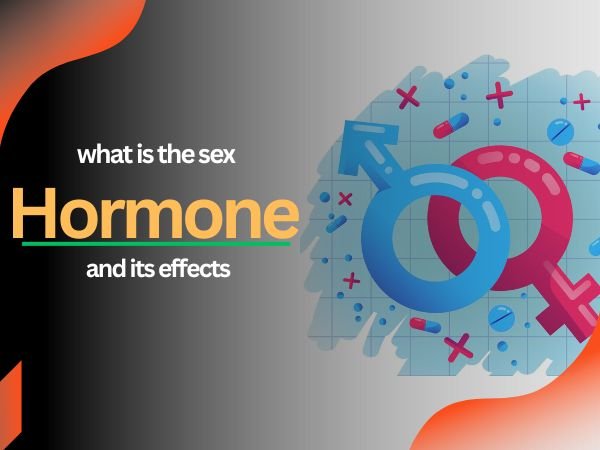what are sex hormones state their function