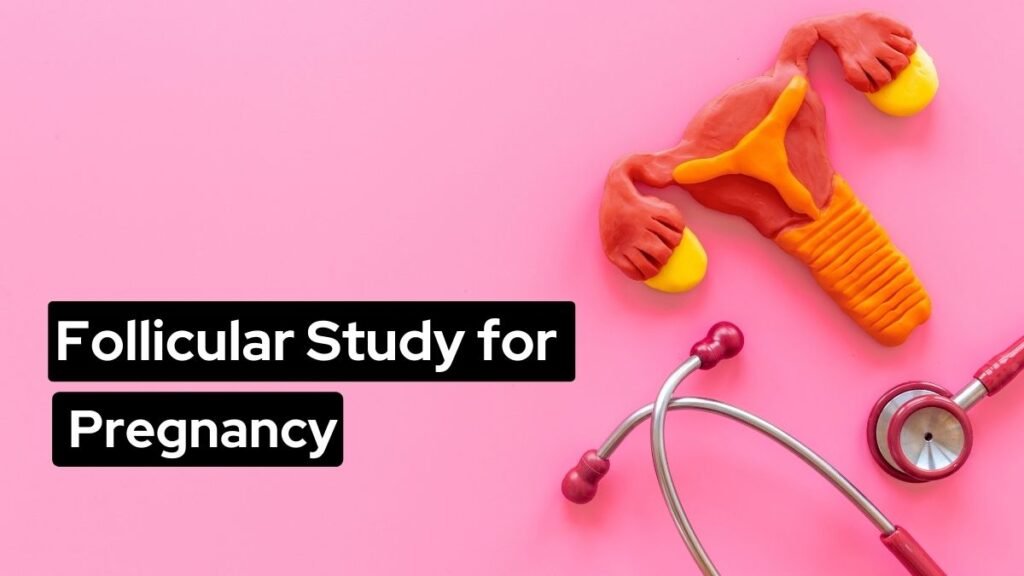 Follicular Study for Pregnancy